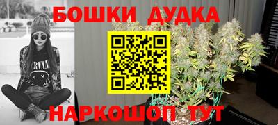 крисы Ирбит