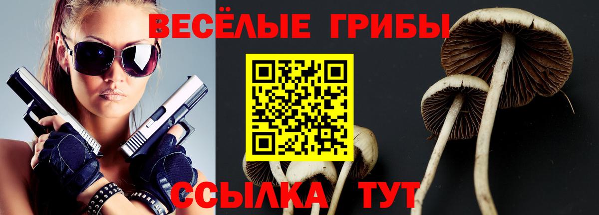 Псилоцибиновые грибы прущие грибы  Вход с VPN  Галлюциногенные грибы Magic Shrooms  Отрадное 