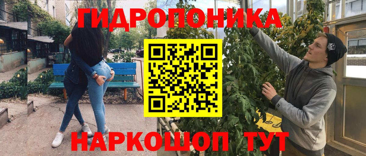 Бошки марихуана ГИДРОПОН Отрадное